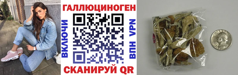 Псилоцибиновые грибы Magic Shrooms  Брянск 