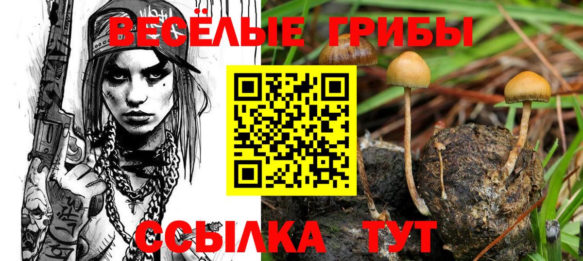 Галлюциногенные грибы Psilocybine cubensis  Вход с VPN  Брянск 